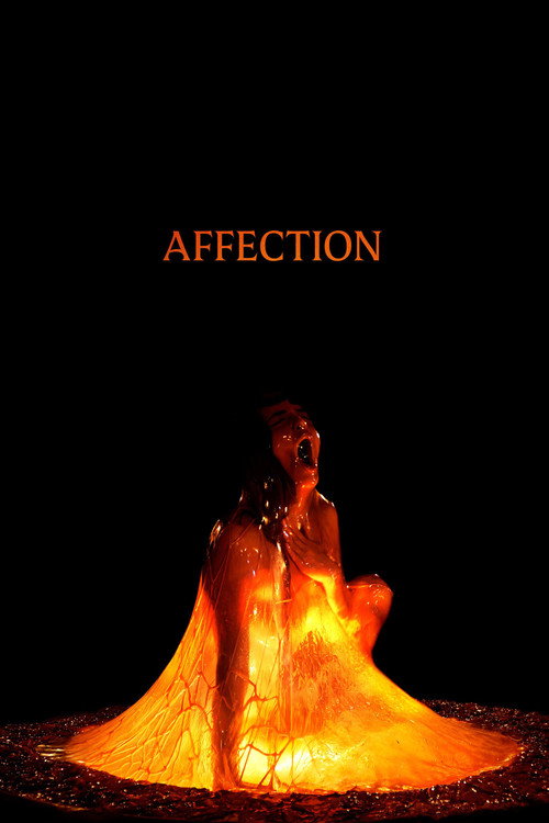 Download Affection (2026) Hindi Dubbed CAMRip 480p 720p 1080p